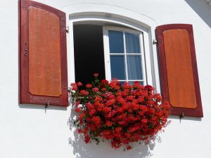 ventana-abierta-con-flores