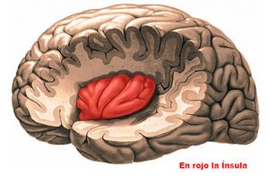 La_insula