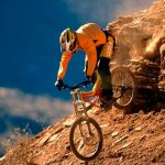 Tendencia al riesgo