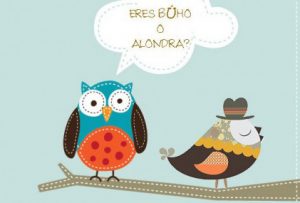 Buho_alondra-506x285