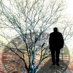 alzheimer-arbol-anciano