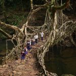 camino-peligroso-escuela-Nongsohphan-Village-India