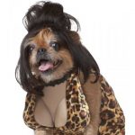 disfraz-mascota1